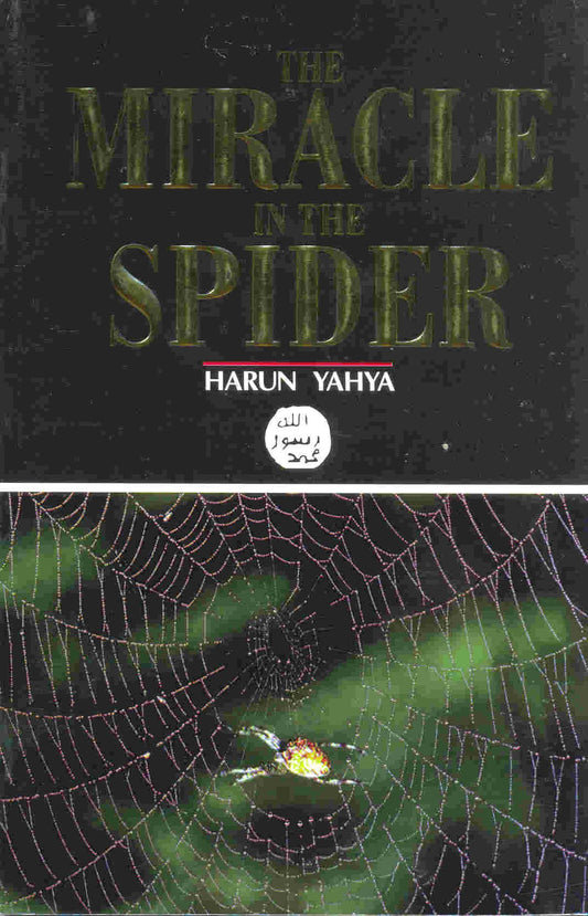 The Miracle in the Spider