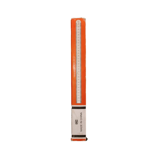 Stainless Steel Scale 12''