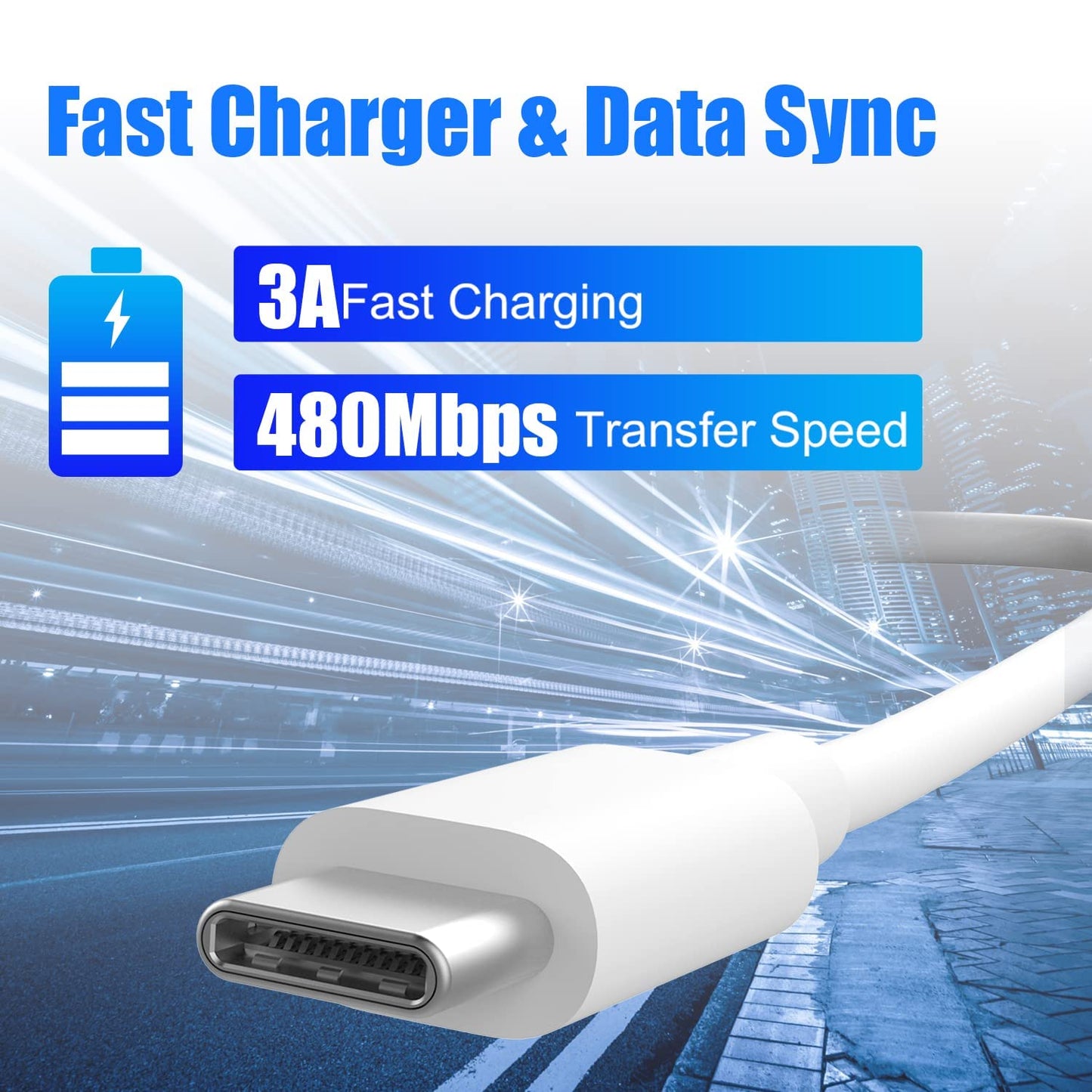 Type C to Type C Data Cable