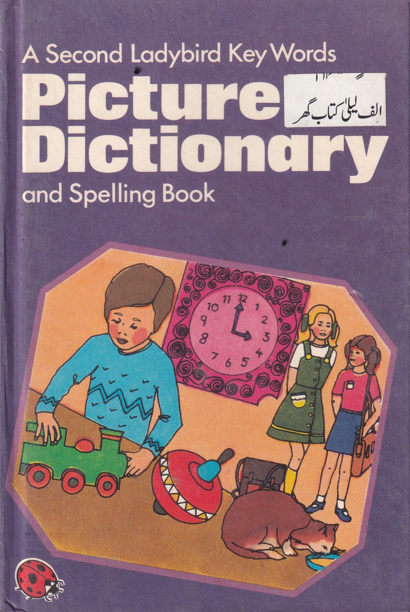 Picture Dictionary Ladybird